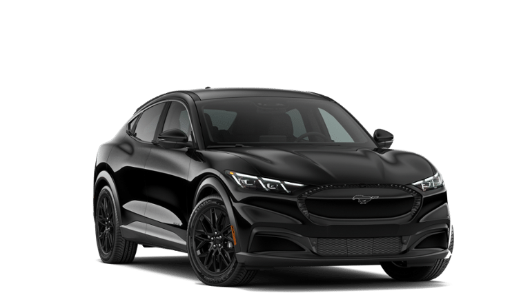 Mustang Mach-E® vehicle